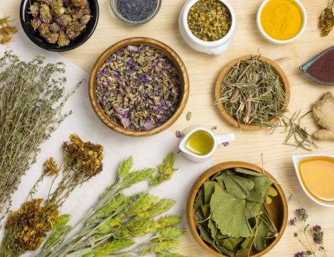 flat-lay-natural-medicinal-herbs