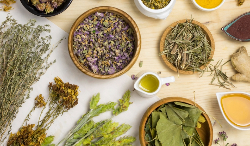 flat-lay-natural-medicinal-herbs